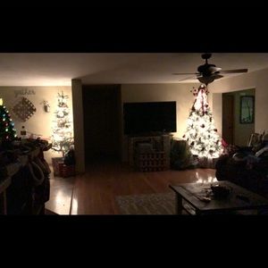 Meet your Posher, Cassie